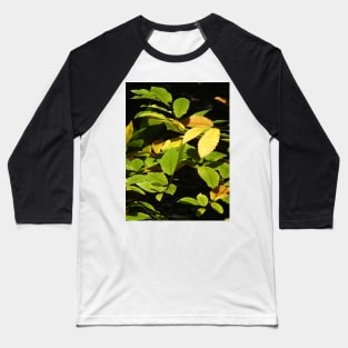 Sweet Chestnut Baseball T-Shirt